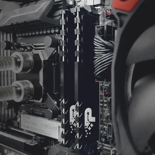 SIGNATURE LINE PREMIUM DDR4