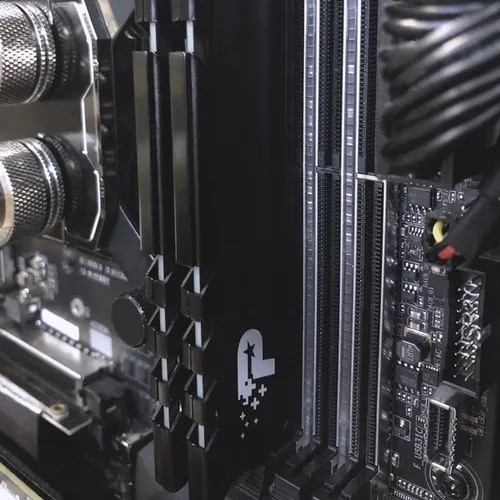 SIGNATURE LINE PREMIUM DDR4