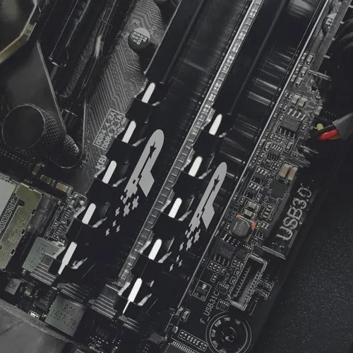 SIGNATURE LINE PREMIUM DDR4