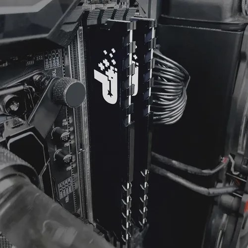 SIGNATURE LINE PREMIUM DDR4