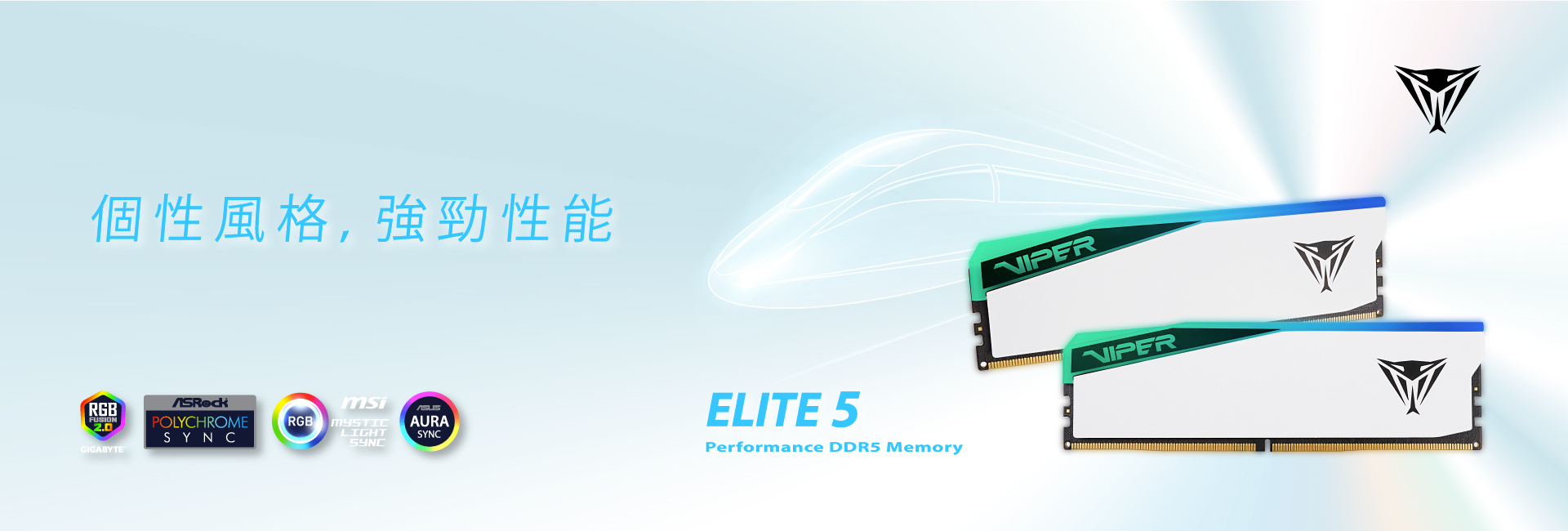 Viper Elite 5 DDR5 Memory 個性風格，強勁性能 | Viper Gaming