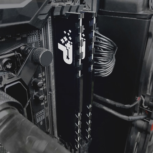SIGNATURE LINE PREMIUM DDR4