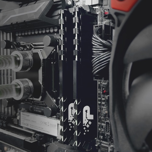 SIGNATURE LINE PREMIUM DDR4