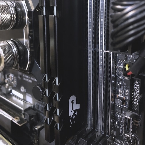 SIGNATURE LINE PREMIUM DDR4